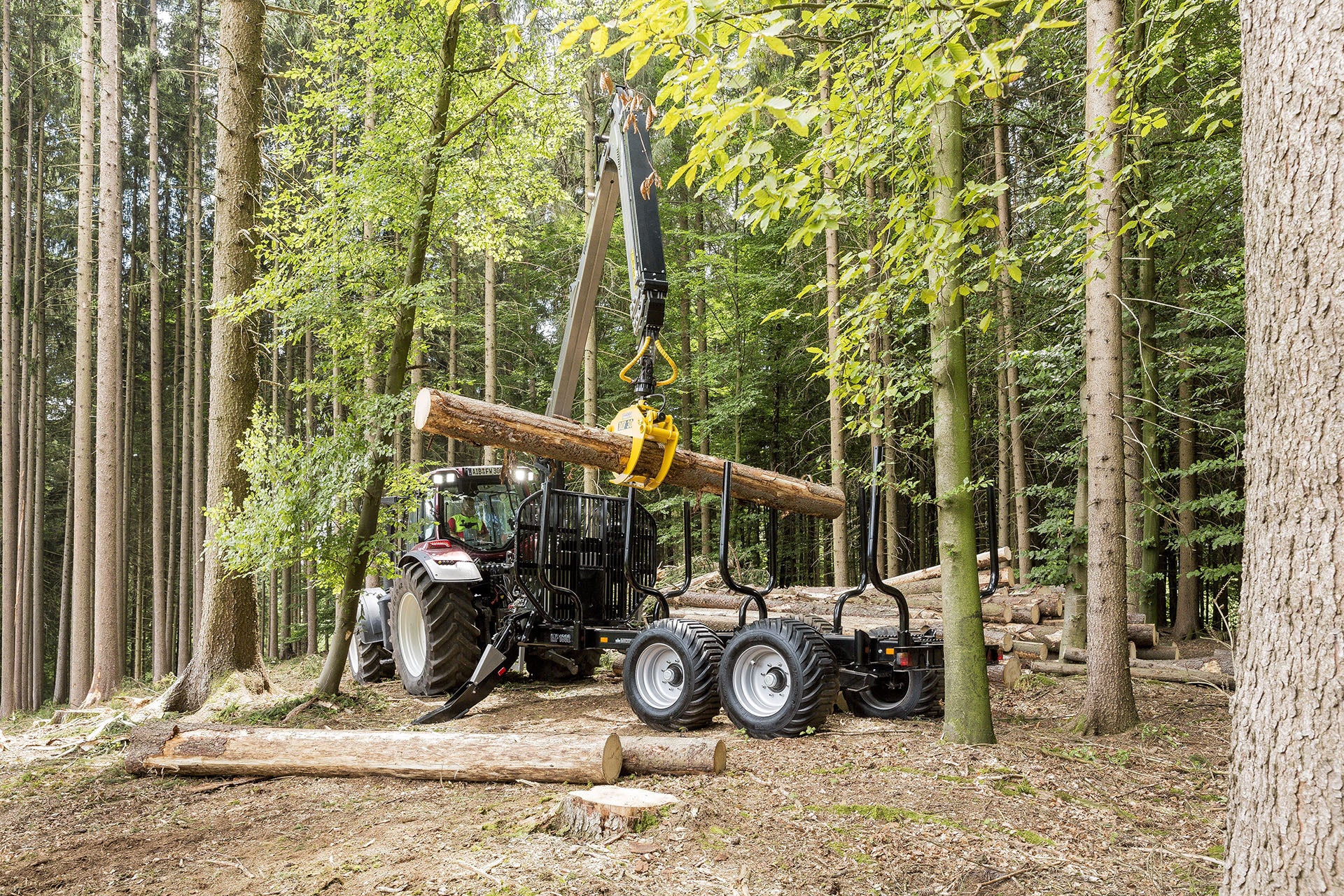 Trejon Multiforest MF1602