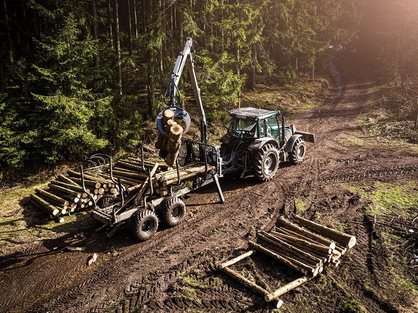 Trejon Multiforest MF1202