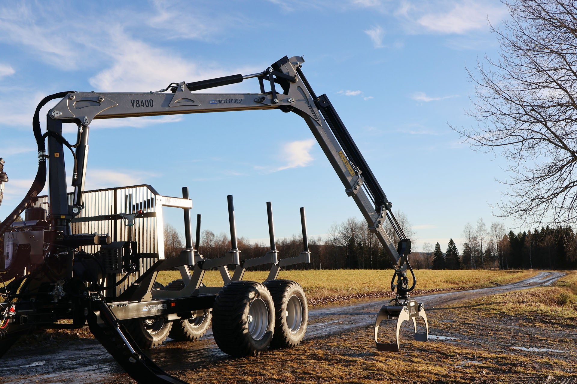 Trejon Multiforest V8400