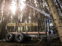 Trejon Multiforest MF1202