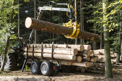 Trejon Multiforest MF1050