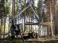 Trejon Multiforest MF1202