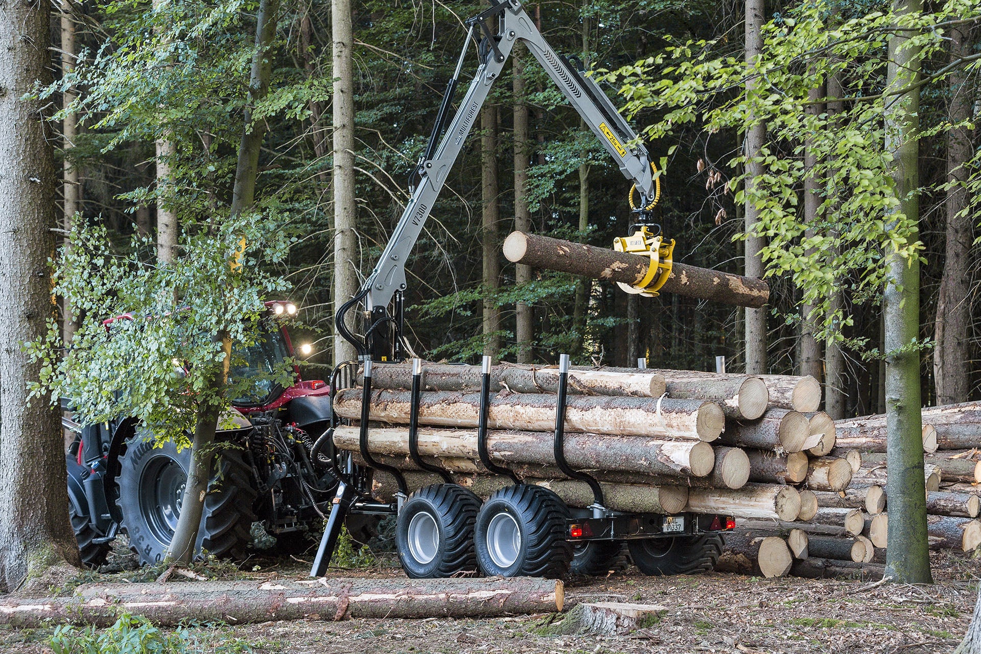 Trejon Multiforest V7300