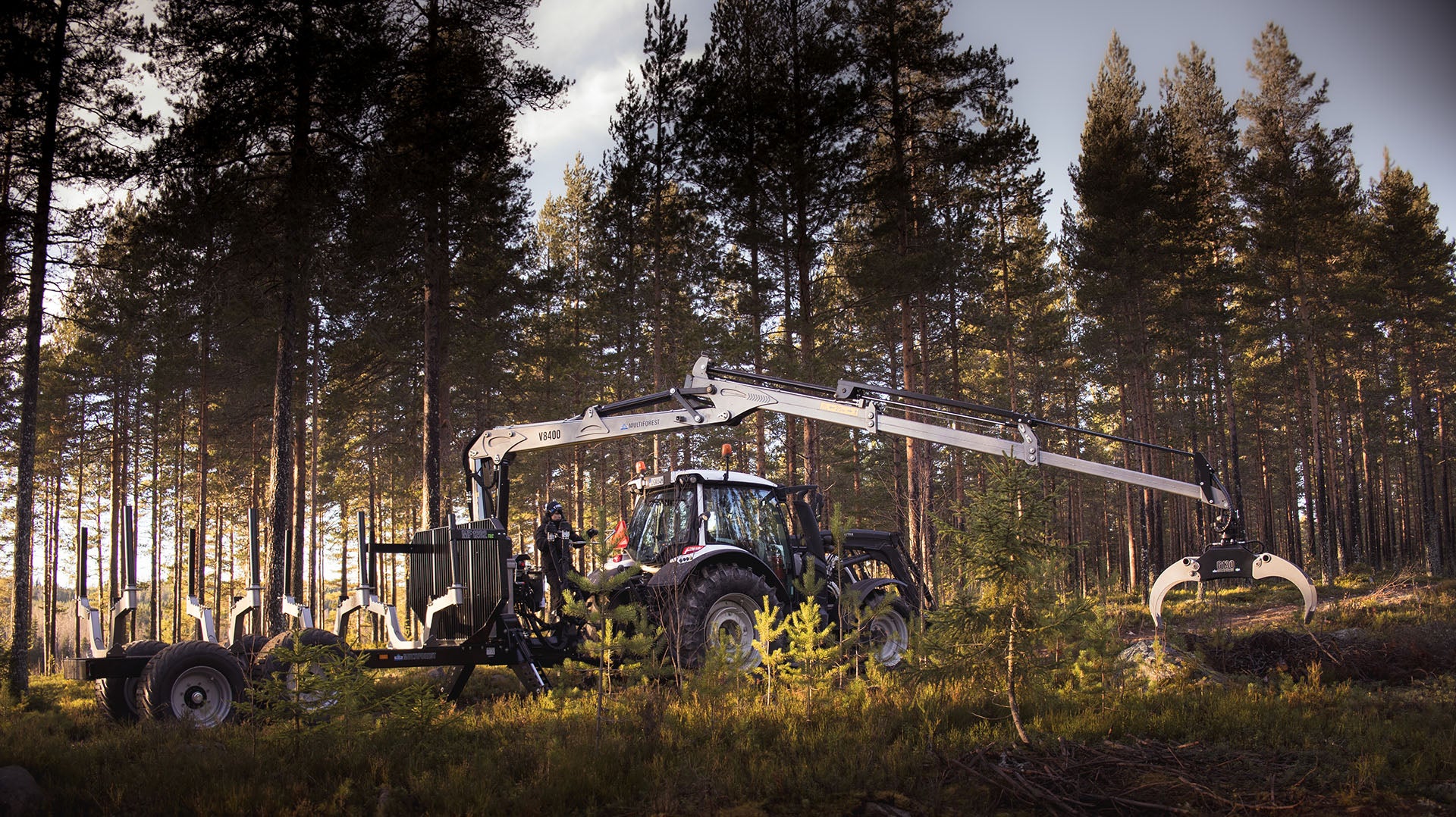 Trejon Multiforest MF1202 TEC