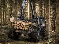 Trejon Multiforest MF1202