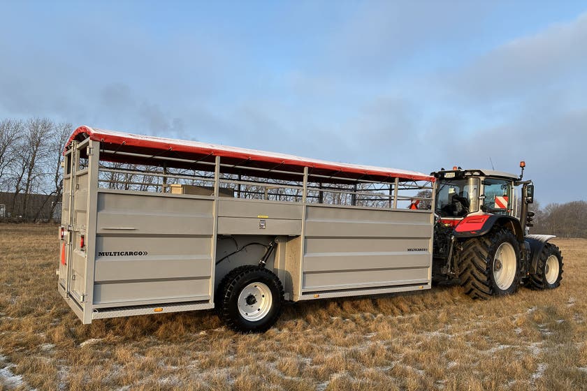 Djurvagn Multicargo 6 Ton