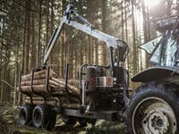 Trejon Multiforest MF1202